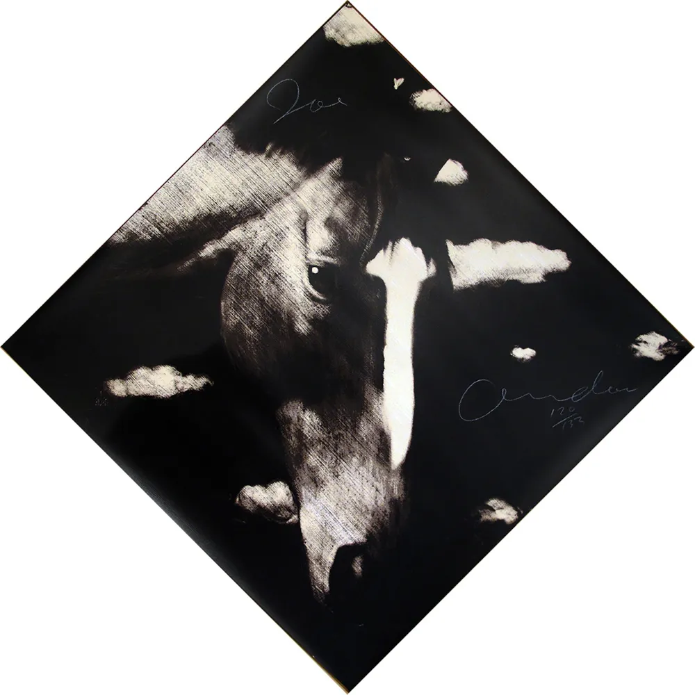 Zeefdruk Andoe - Horse II