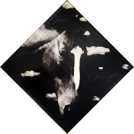 Zeefdruk Andoe - Horse II