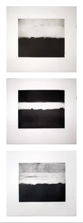 Zeefdruk Andoe - Three Landscapes 
