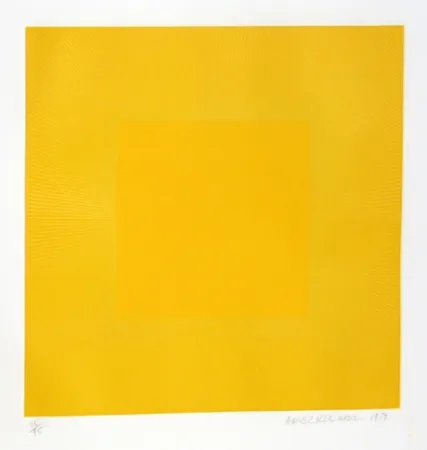 Ets En Aquatint Anuszkiewicz - Summer Suite (Yellow with Yellow)