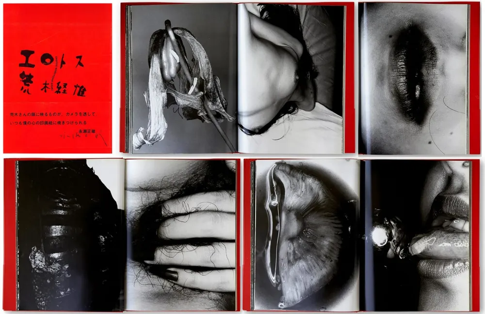 Geïllustreerd Boek Araki - EROTOS (1993)