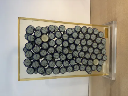 Geen Techniek Arman - Bon santé V, 1996 