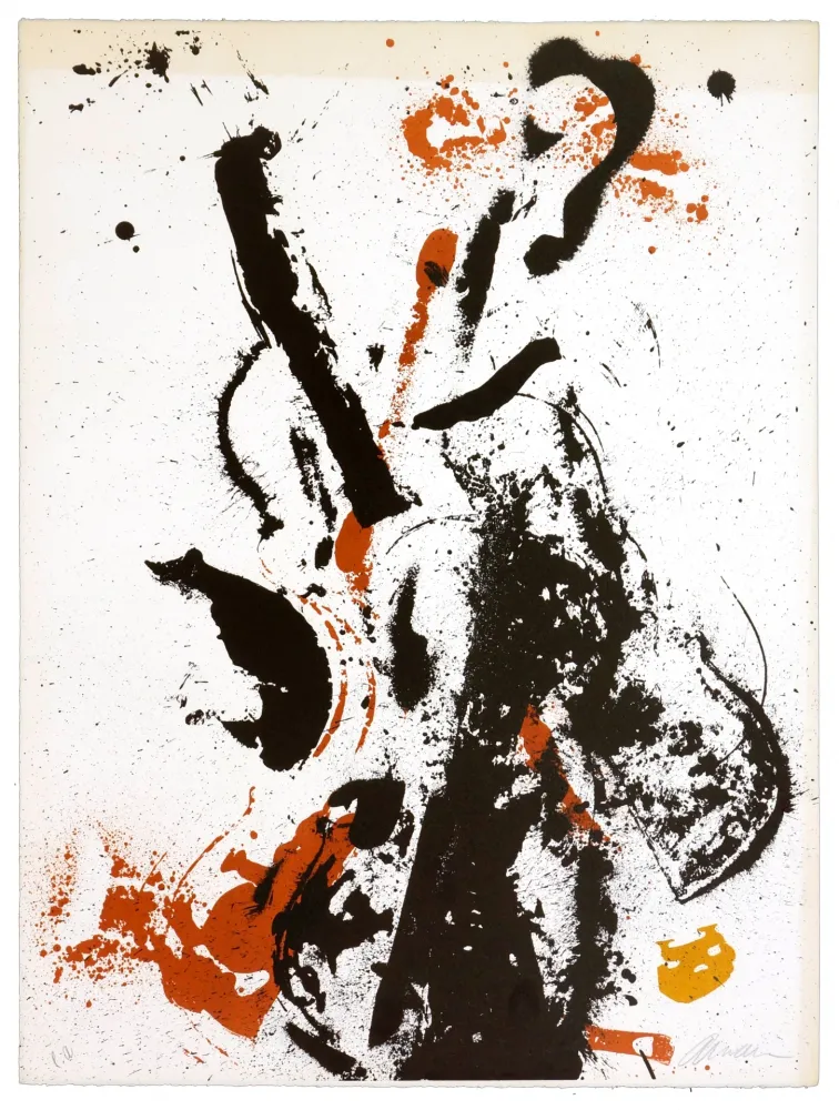 Lithografie Arman - Eclipse d'éclipses