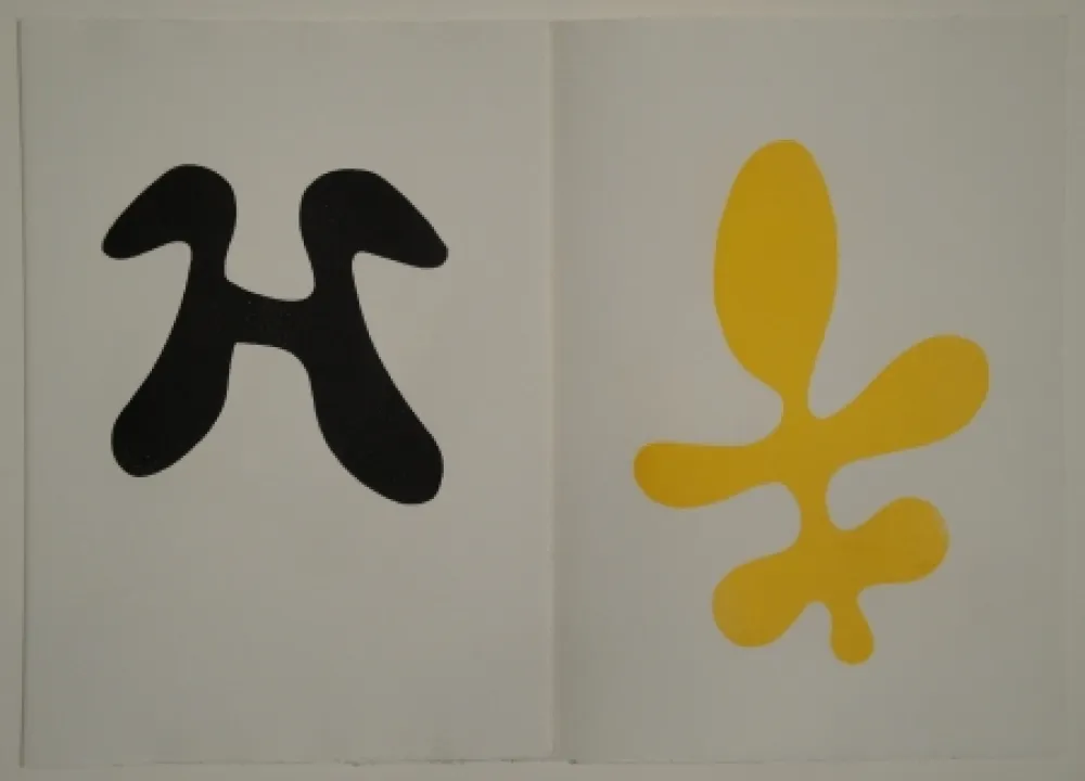 Geïllustreerd Boek Arp - Elemente