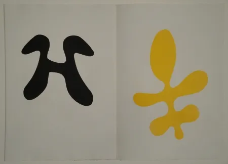 Geïllustreerd Boek Arp - Elemente