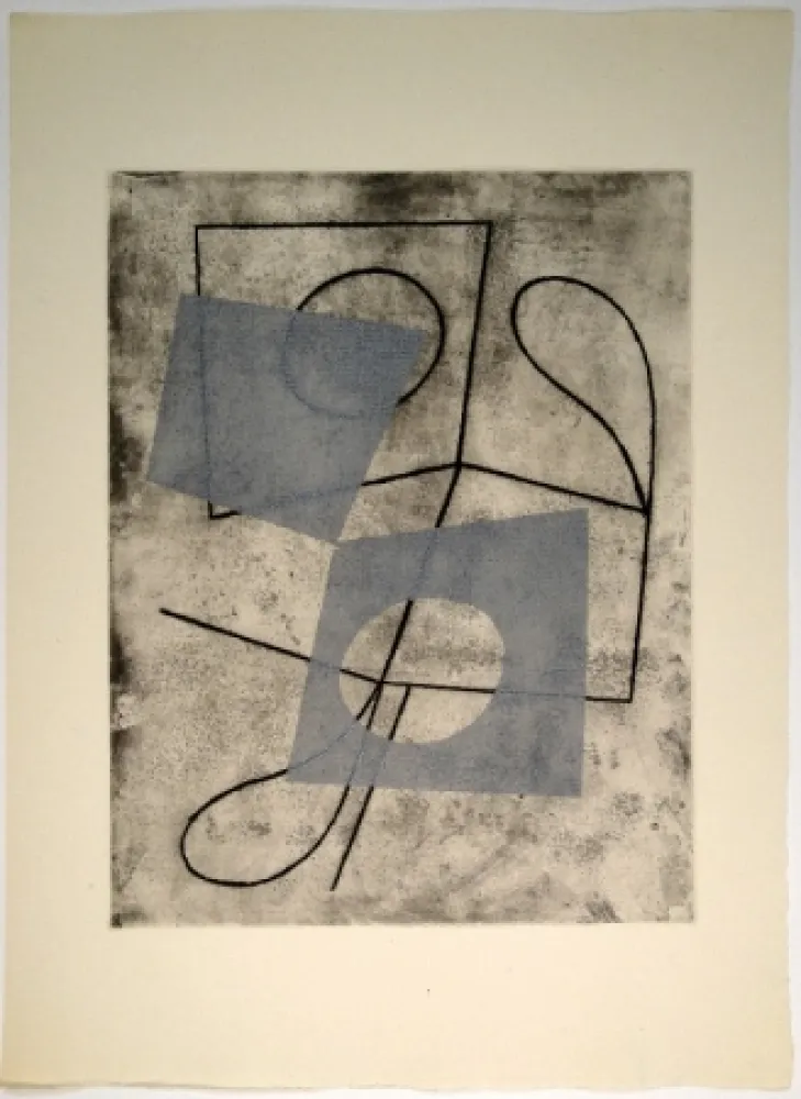 Geïllustreerd Boek Arp - Vers le blanc infini