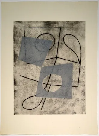 Geïllustreerd Boek Arp - Vers le blanc infini