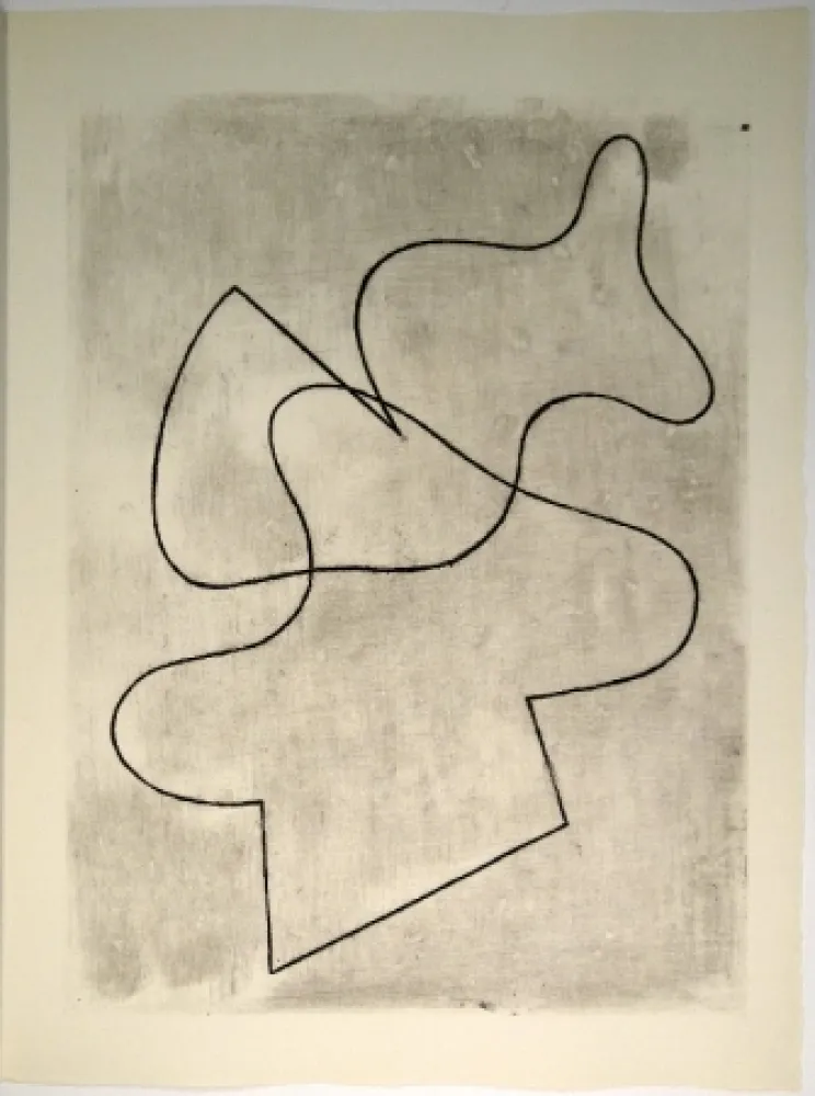 Geïllustreerd Boek Arp - Vers le blanc infini