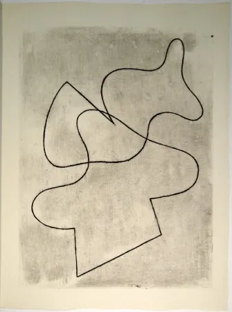 Geïllustreerd Boek Arp - Vers le blanc infini