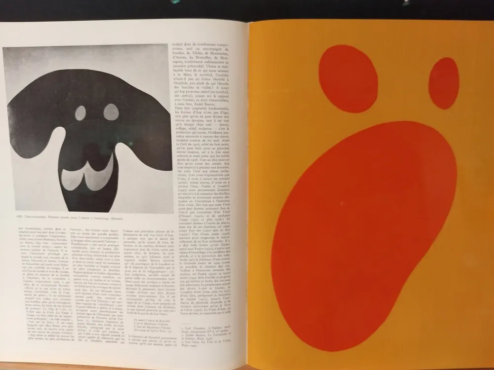 Geïllustreerd Boek Arp - Xxe No 11