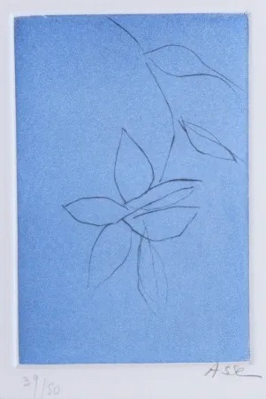 Aquatint Asse - Notes sur Thème 2