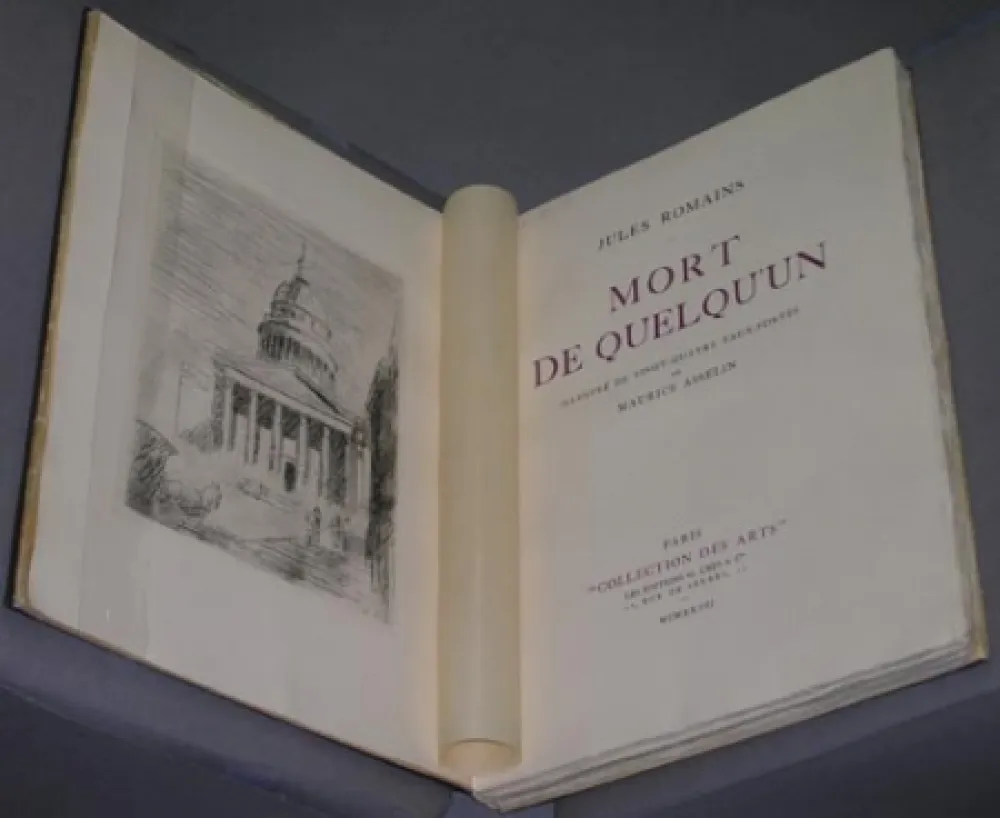 Geïllustreerd Boek Asselin - Mort de quelqu'un