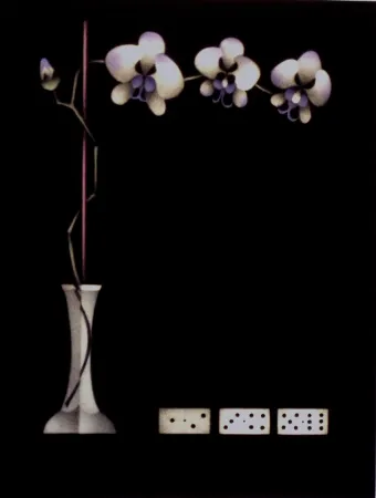 Mezzotint Avati - Une théorie de dominos