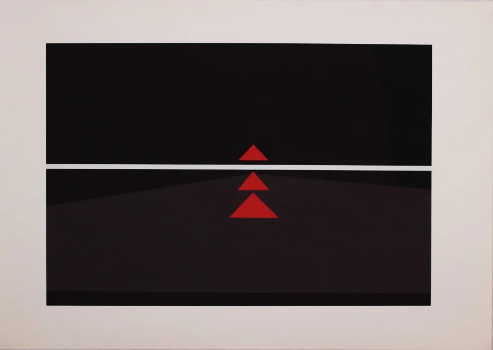 Zeefdruk Badiali - Sei fasi progressive di verticalità elastica