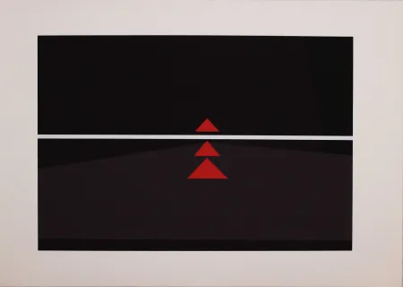 Zeefdruk Badiali - Sei fasi progressive di verticalità elastica