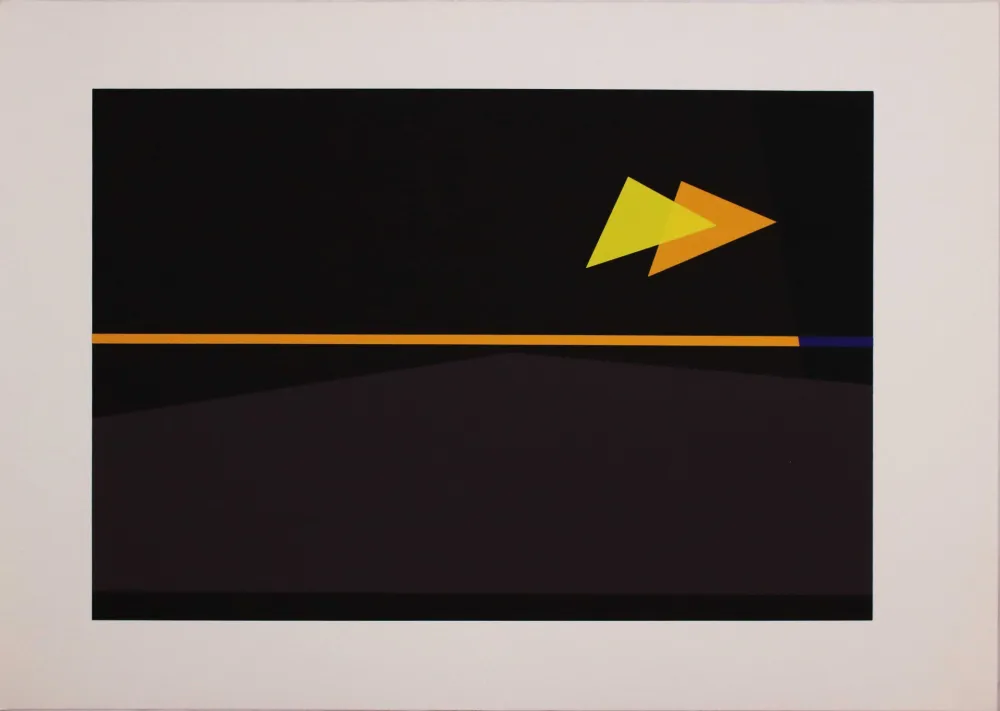 Zeefdruk Badiali - Sei fasi progressive di verticalità elastica