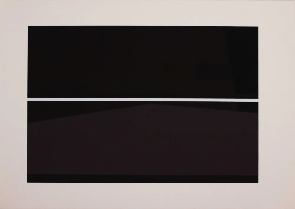 Zeefdruk Badiali - Sei fasi progressive di verticalità elastica