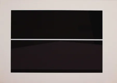 Zeefdruk Badiali - Sei fasi progressive di verticalità elastica