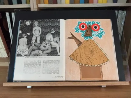 Geïllustreerd Boek Baj - No 44