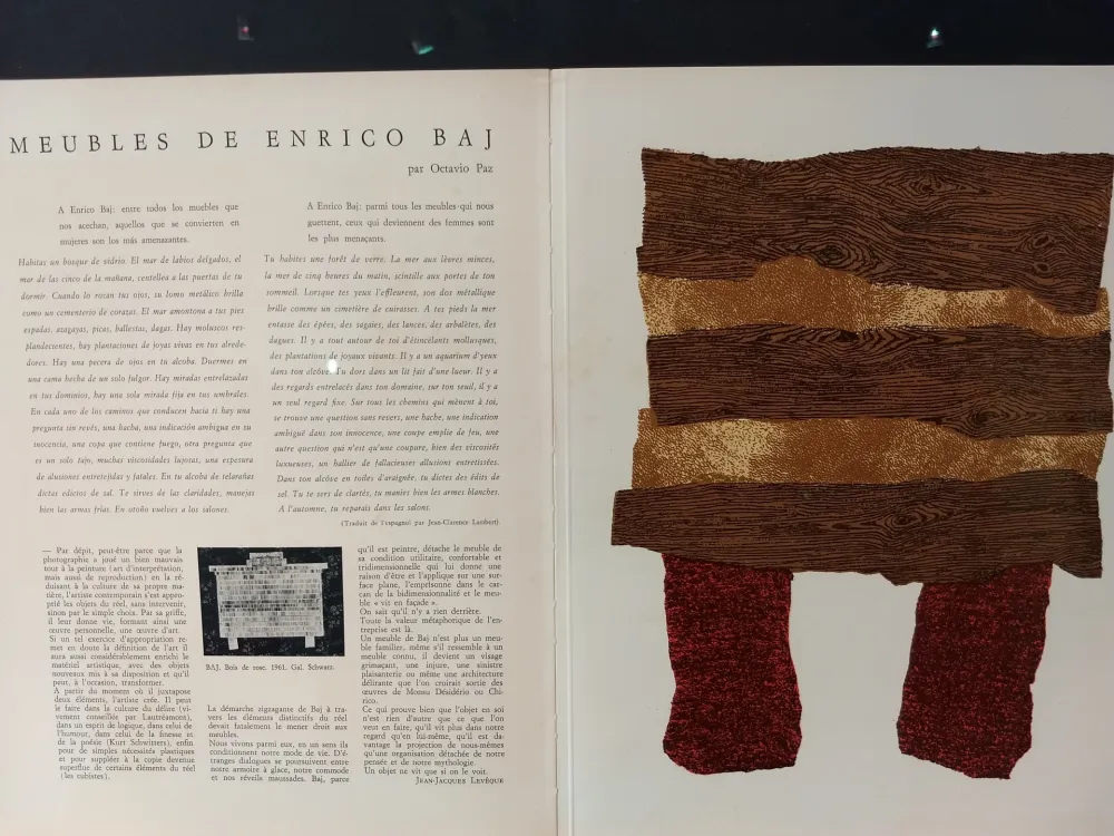 Geïllustreerd Boek Baj - Xxe No 20