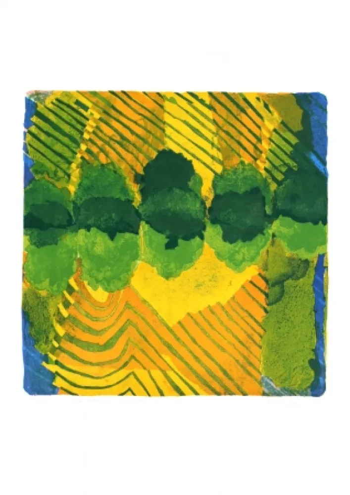 Lithografie Balas - Le cinquième enclos