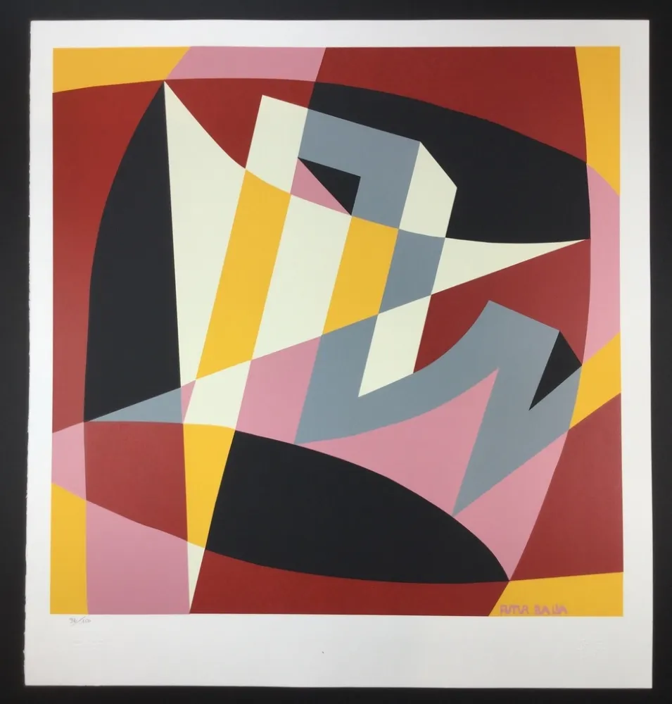 Zeefdruk Balla - Forma Rumore + Spazio