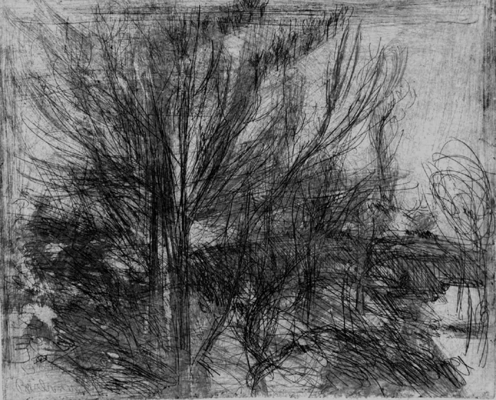 Ets Barbisan - Alberi