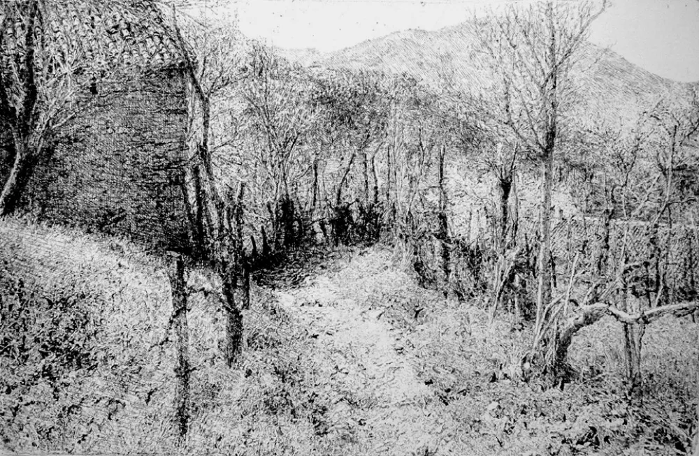 Ets Barbisan - Paesaggio in collina