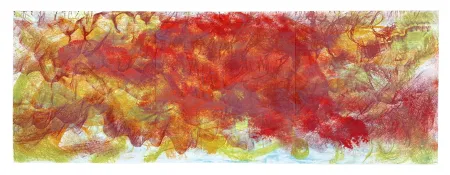 Lithografie Barcelo - La Tortue