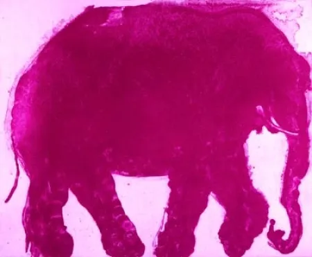 Ets En Aquatint Barcelo - Lanzarote 14