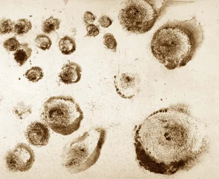 Ets En Aquatint Barcelo - Lanzarote 18