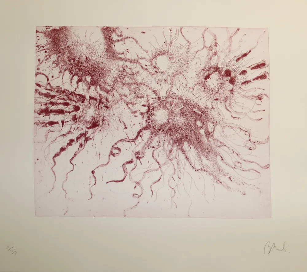 Ets En Aquatint Barcelo - Lanzarote 20