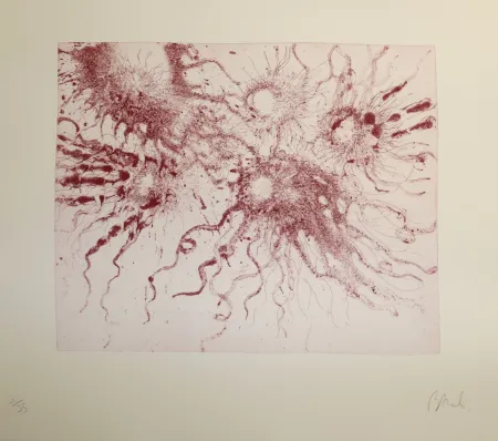 Ets En Aquatint Barcelo - Lanzarote 20