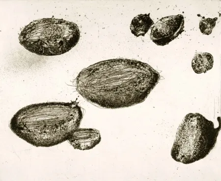 Ets En Aquatint Barcelo - Lanzarote 22