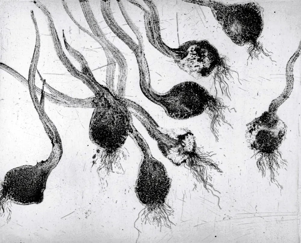 Ets En Aquatint Barcelo - Lanzarote 24