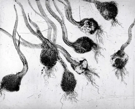 Ets En Aquatint Barcelo - Lanzarote 24