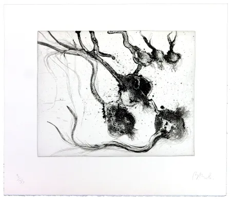 Gravure Barcelo - Lanzarote 25