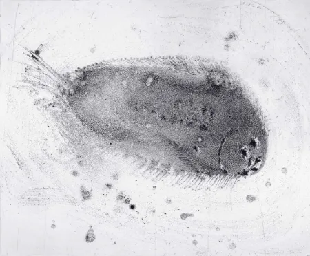 Ets En Aquatint Barcelo - Lanzarote 39