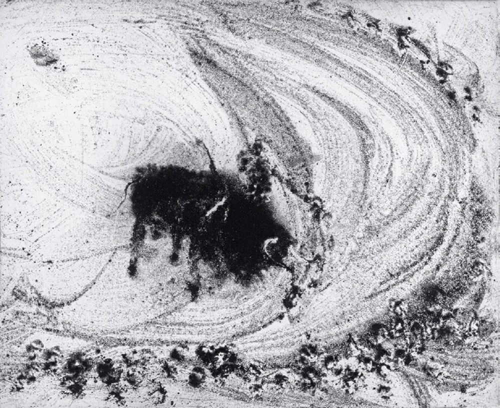 Aquatint Barcelo - Lanzarote 48