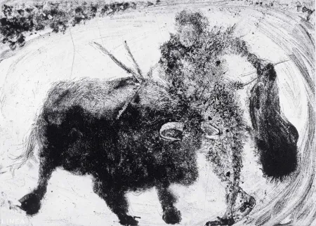 Aquatint Barcelo - Lanzarote 53