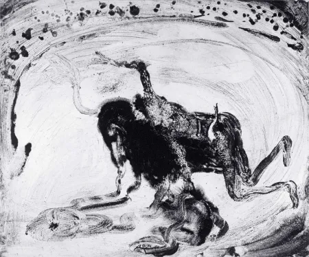 Aquatint Barcelo - Lanzarote 55