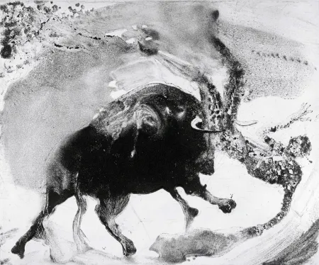 Ets En Aquatint Barcelo - Lanzarote 58