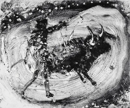 Aquatint Barcelo - Lanzarote 59