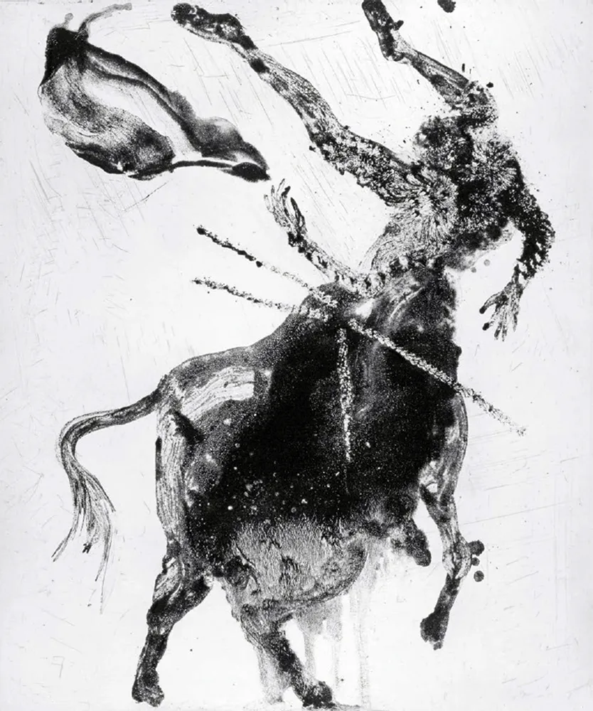 Ets En Aquatint Barcelo - Lanzarote 62