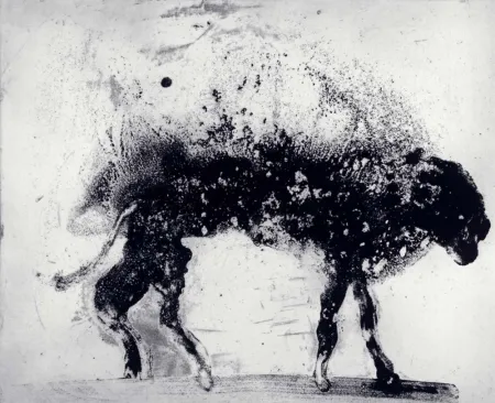 Ets En Aquatint Barcelo - Lanzarote 8