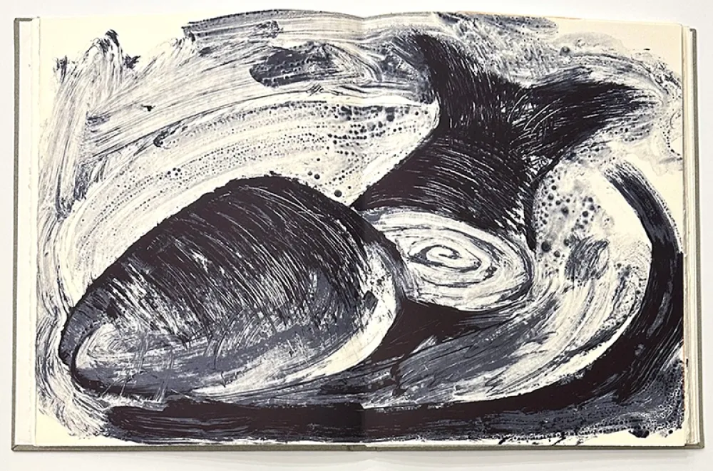 Geïllustreerd Boek Barcelo - Noise - Deluxe Edition