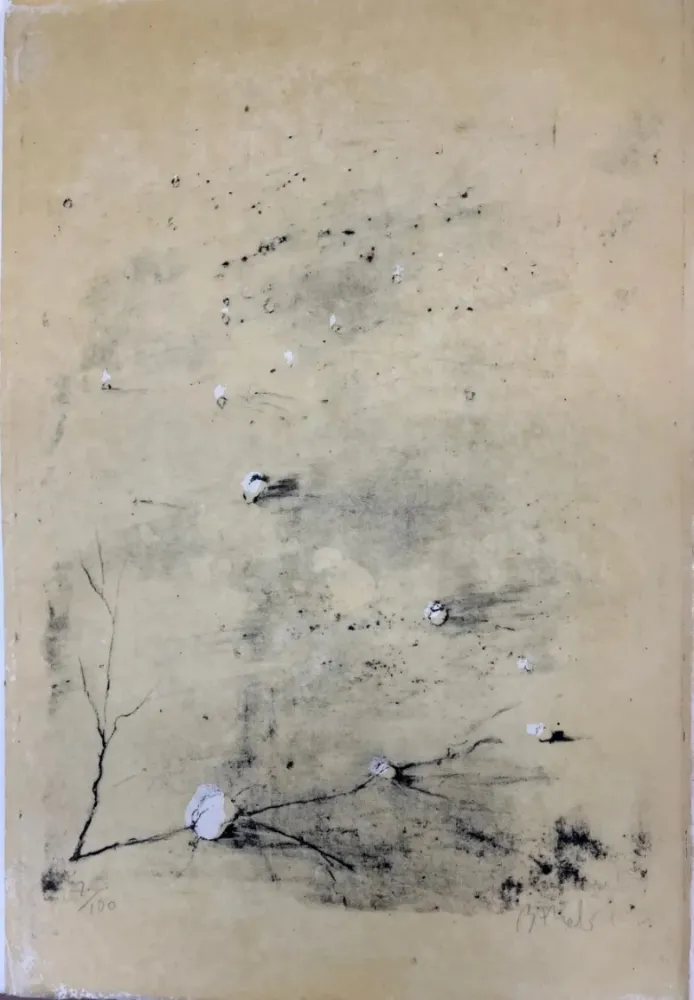 Ets Barcelo - Sekou I