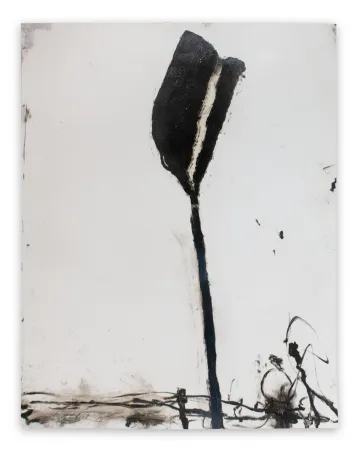 Geen Techniek Baribeau - Stem in Black #1 