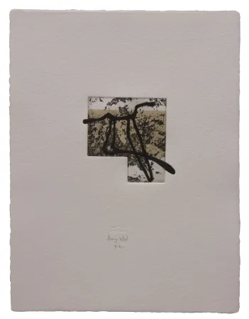 Ets En Aquatint Baroja-Collet - Animal