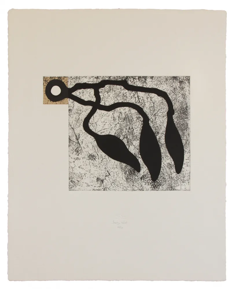 Ets En Aquatint Baroja-Collet - Atrapados